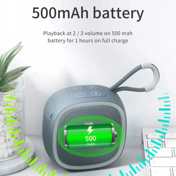 Portable Bluetooth FM Speaker 5